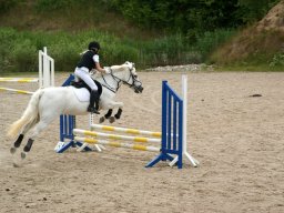 282600_10150929584638585_47842503_n_web